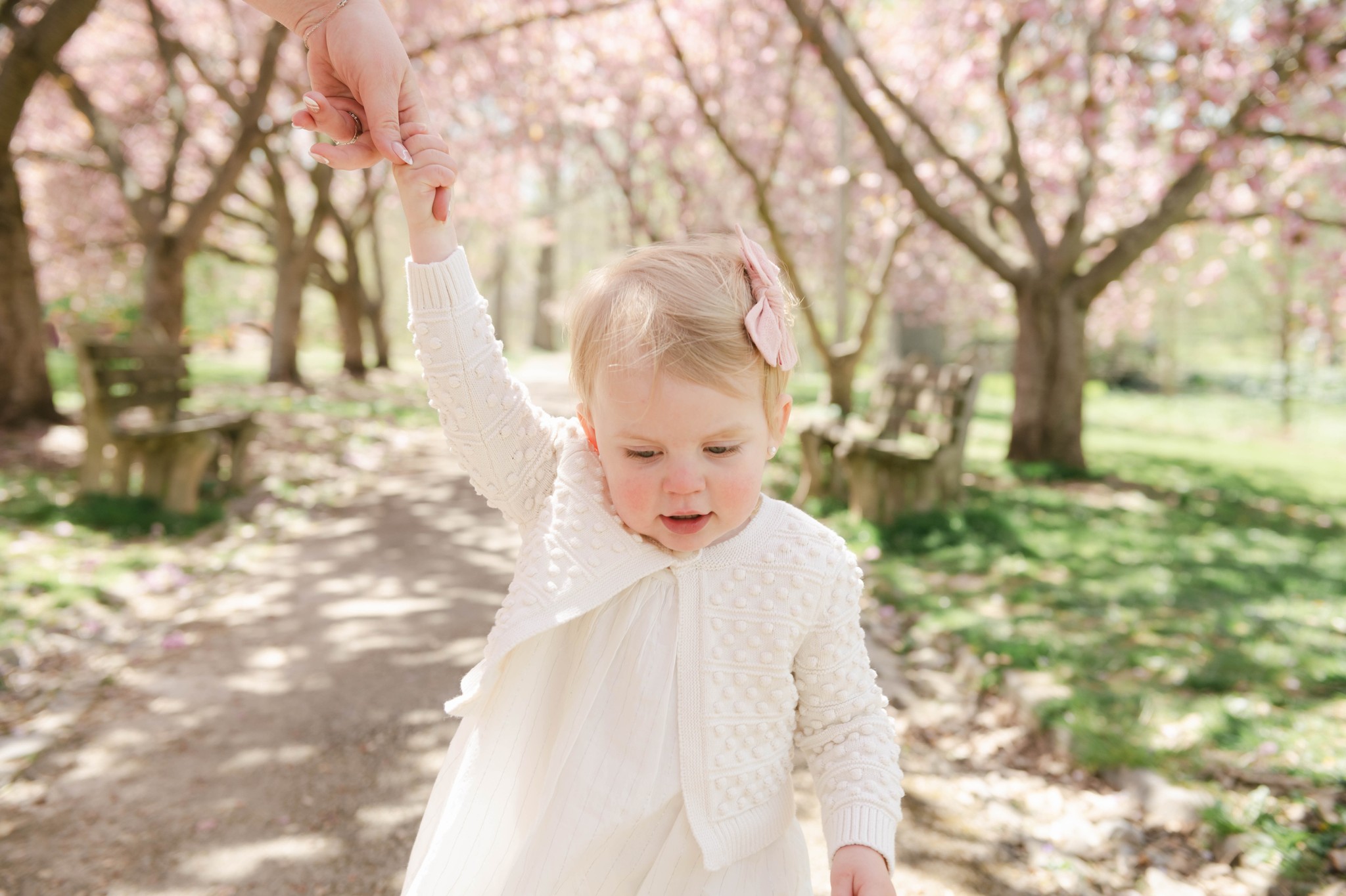 A young girl walk while holding mom's hand through a park with blooming pink trees in a white dress and sweater from layla's boutique