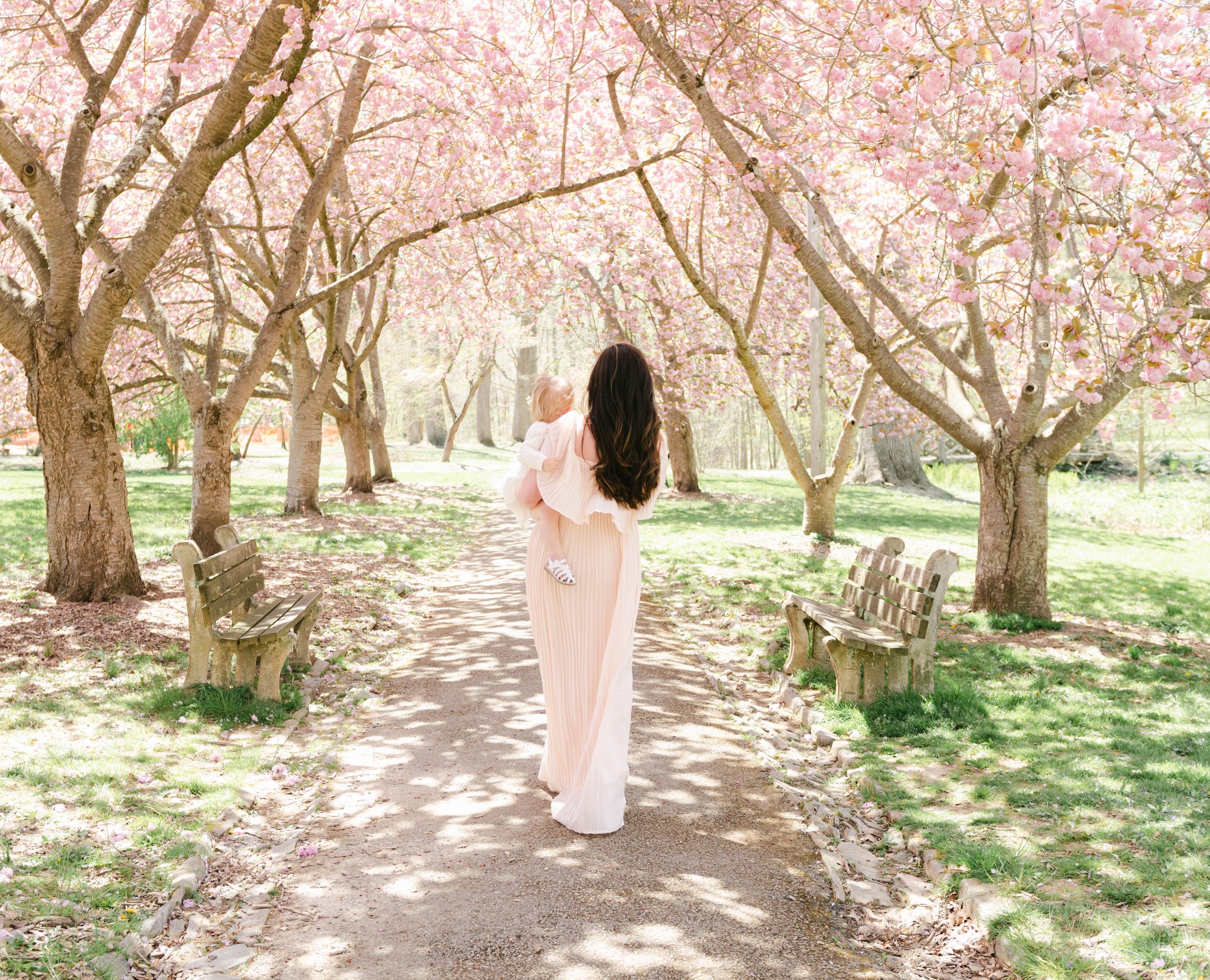 A mom in a pink dress walks through a park path lined with benches and pink flowering trees